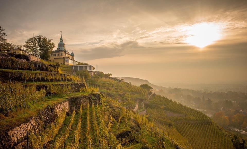 Spitzhaus Hotel Radebeul Kültér fotó